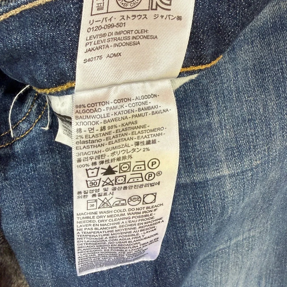 Levis levis 513